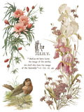 IOD Decor Transfer Flowers by the Poets 12"x16" 8-Pages Pad by Iron Orchid Designs