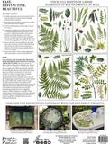 IOD Decor Transfer Fronds Botanical 24 x 33" 4 Pages by Iron Orchid Designs