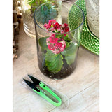 Garden Plant Snips