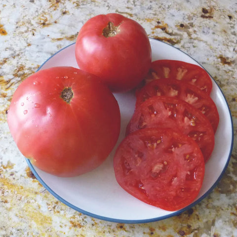 MIGardener Seeds Tomato Granny Cantrells