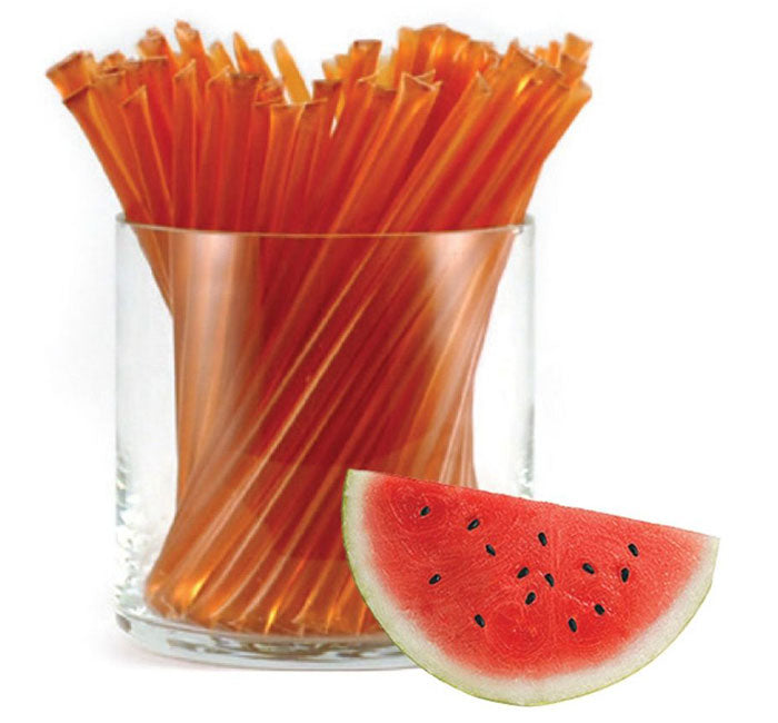 Vintage Style Candy Glory Bee Honeystix- Watermelon (6 sticks)