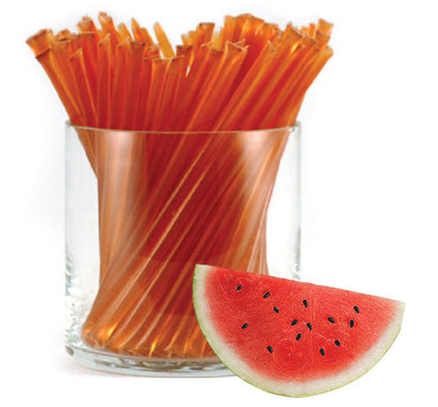 Vintage Style Candy Glory Bee Honeystix- Watermelon (6 sticks)