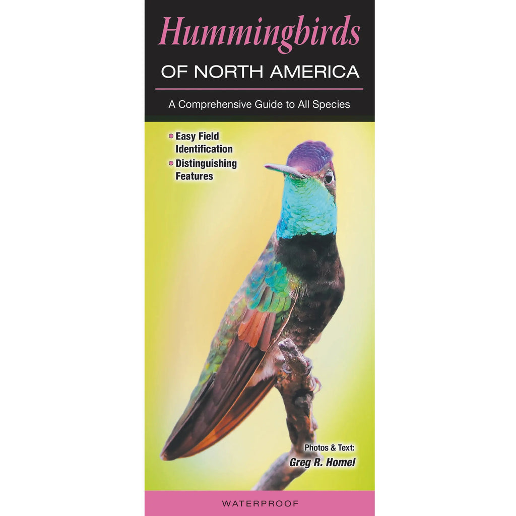 Quick Reference Guide Hummingbirds of North America