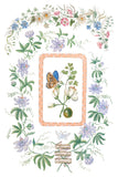 IOD Decor Transfer Emily Clare 8"x12" 8-Pages Pad by Iron Orchid Designs