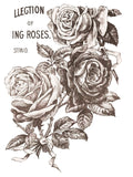 IOD Decor Transfer May’s Roses Mays May 12" X 16" Pad by Iron Orchid Designs