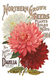 IOD Decor Transfer Seed Catalogue Catalog 8” x 12” Pad by Iron Orchid Designs