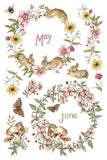 IOD Decor Transfer Bramblewood Diaries 8"x12" 8-Pages Pad by Iron Orchid Designs