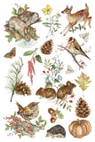 IOD Decor Transfer Bramblewood Diaries 8"x12" 8-Pages Pad by Iron Orchid Designs