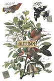 IOD Decor Transfer Winter's Calling 8"x12" 8-Pages Pad by Iron Orchid Designs