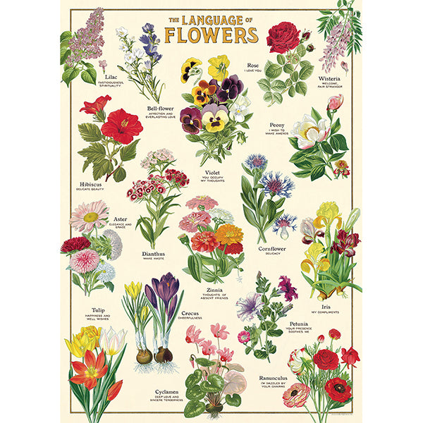 Cavallini Poster Language of Flowers