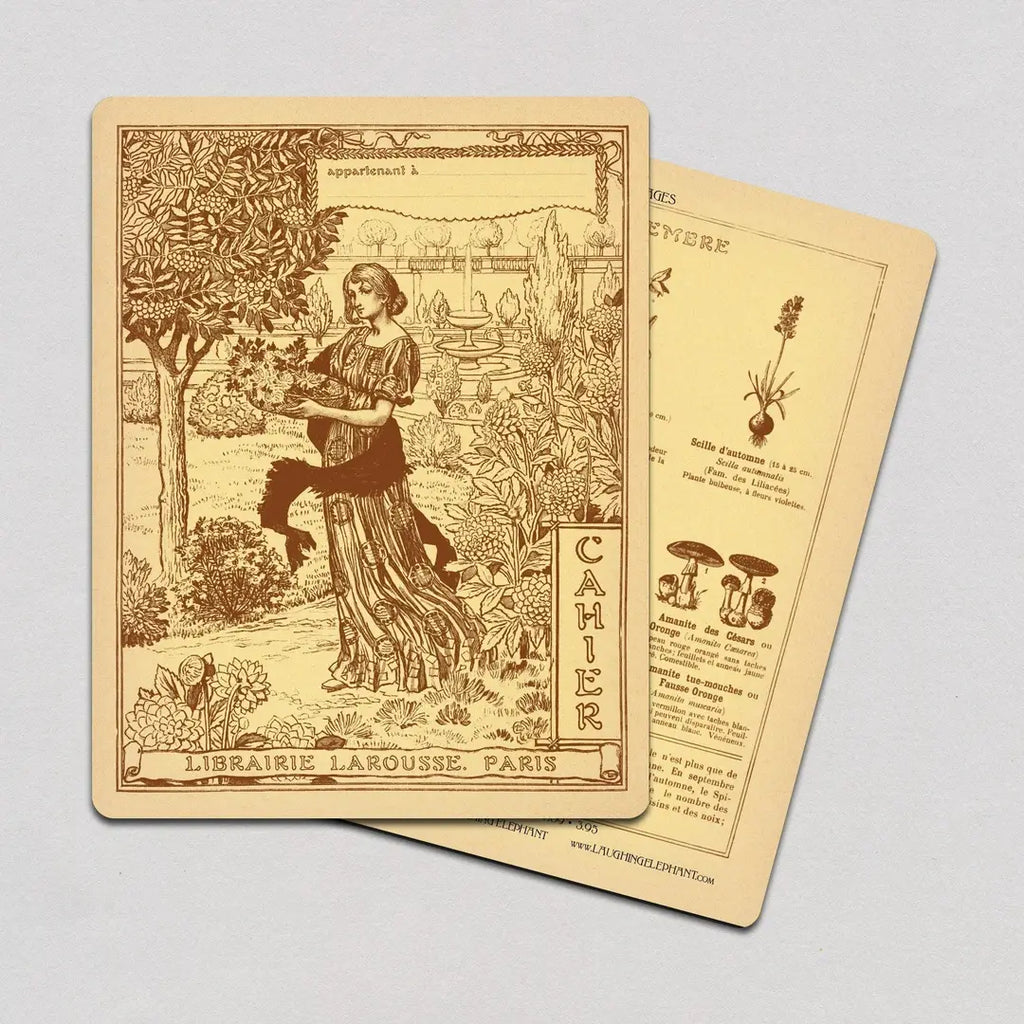 Laughing Elephant Notebook Librarie Larousse