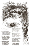 IOD Paint Inlay Little Lark 8"x12" Small Format 8 Pages by Iron Orchid Designs