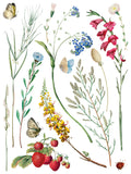 IOD Decor Transfer Marche Des Fleurs 12"x16" 8-Pages Pad by Iron Orchid Designs