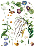 IOD Decor Transfer Marche Des Fleurs 12"x16" 8-Pages Pad by Iron Orchid Designs