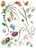 IOD Decor Transfer Marche Des Fleurs 12"x16" 8-Pages Pad by Iron Orchid Designs
