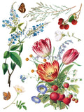 IOD Decor Transfer Marche Des Fleurs 12"x16" 8-Pages Pad by Iron Orchid Designs