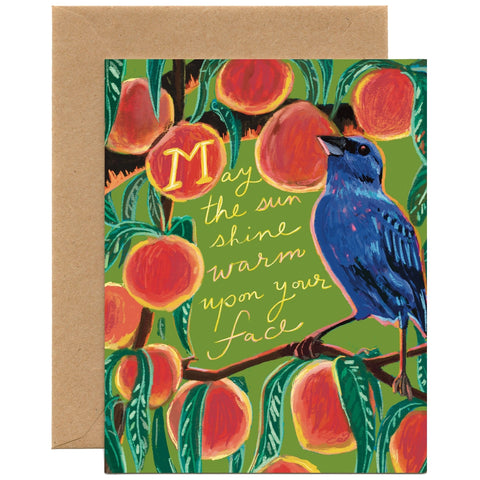 Tiny and Snail May the Sun Shine Upon Your Face Friendship Card