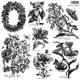 IOD Decor Stamp Nature's Etchings 12" x 12" by Iron Orchid Designs
