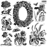 IOD Decor Stamp Nature's Etchings 12" x 12" by Iron Orchid Designs