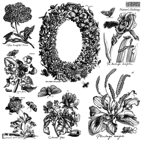 IOD Decor Stamp Nature's Etchings 12" x 12" by Iron Orchid Designs