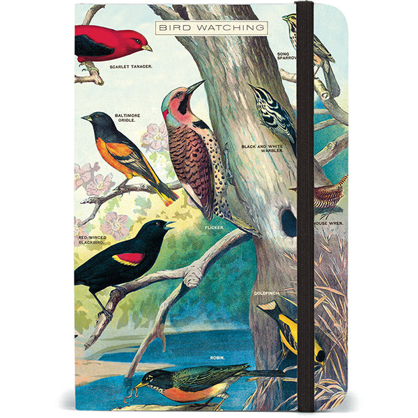 Cavallini Small Notebook Bird Watching