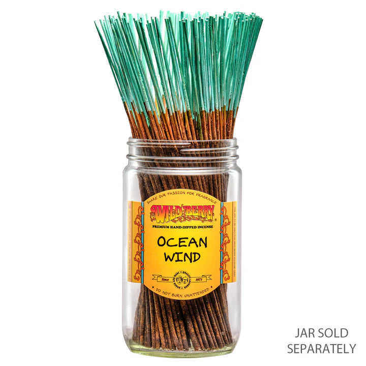 Wild Berry Incense Ocean Wind 10 Sticks