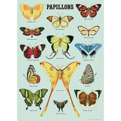 Cavallini Poster Papillons
