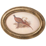 Floral Wall Decor Oval Pheasant Print Framed #1757Z