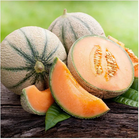 MIGardener Seeds Cantaloupe Planters Jumbo
