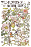IOD Decor Transfer Primrose Isle 8"x12" 8-Pages Pad by Iron Orchid Designs