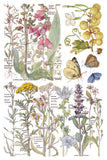 IOD Decor Transfer Primrose Isle 8"x12" 8-Pages Pad by Iron Orchid Designs