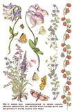 IOD Decor Transfer Primrose Isle 8"x12" 8-Pages Pad by Iron Orchid Designs
