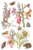 IOD Decor Transfer Primrose Isle 8"x12" 8-Pages Pad by Iron Orchid Designs