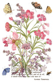 IOD Decor Transfer Primrose Isle 8"x12" 8-Pages Pad by Iron Orchid Designs