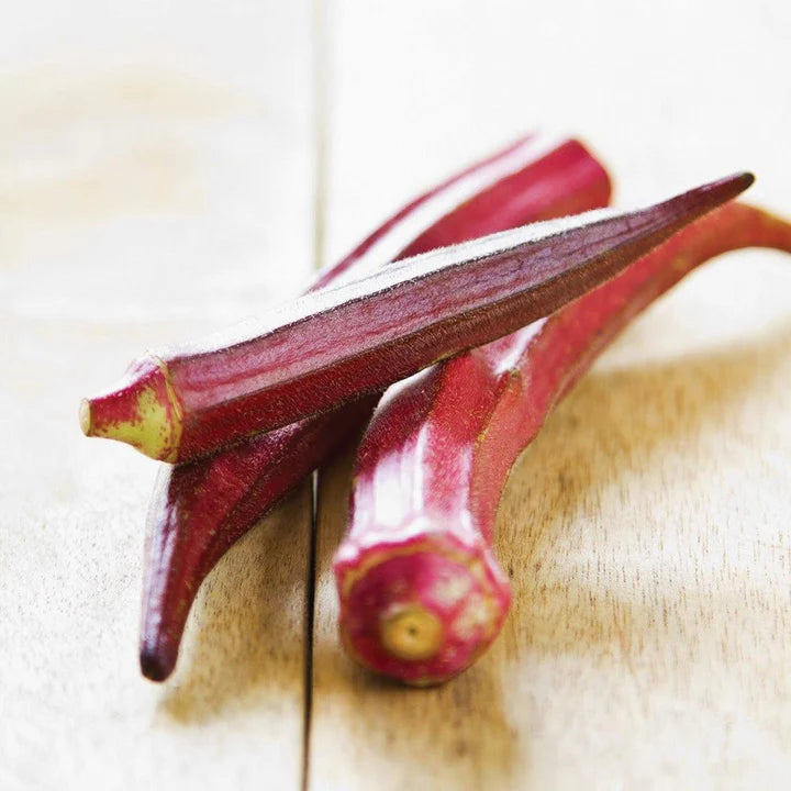 MIGardener Seeds Okra Red Burgundy