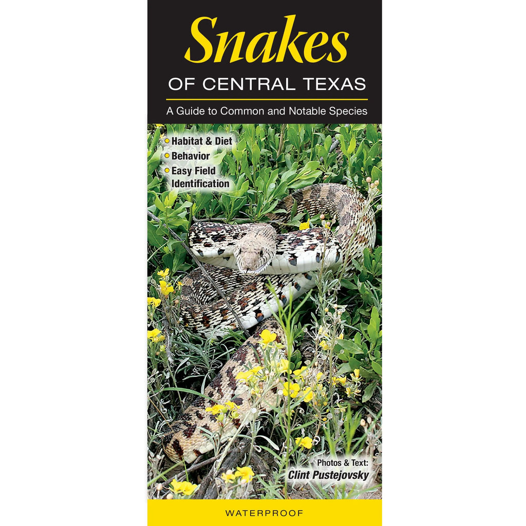Quick Reference Guide Snakes of Central Texas (