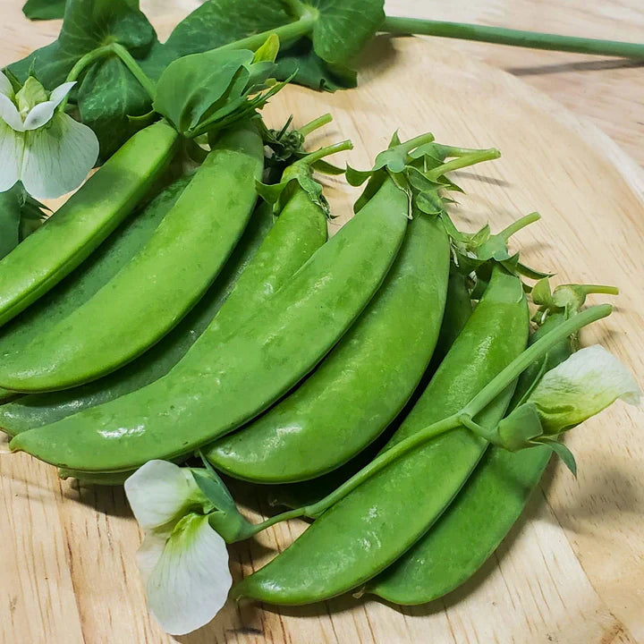 MIGardener Seeds Pea Sugar Snap