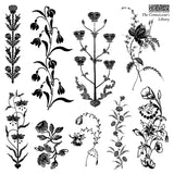 IOD Decor Stamp The Connoisseur's Library 6"x6" Four Sheets with Case by Iron Orchid Designs