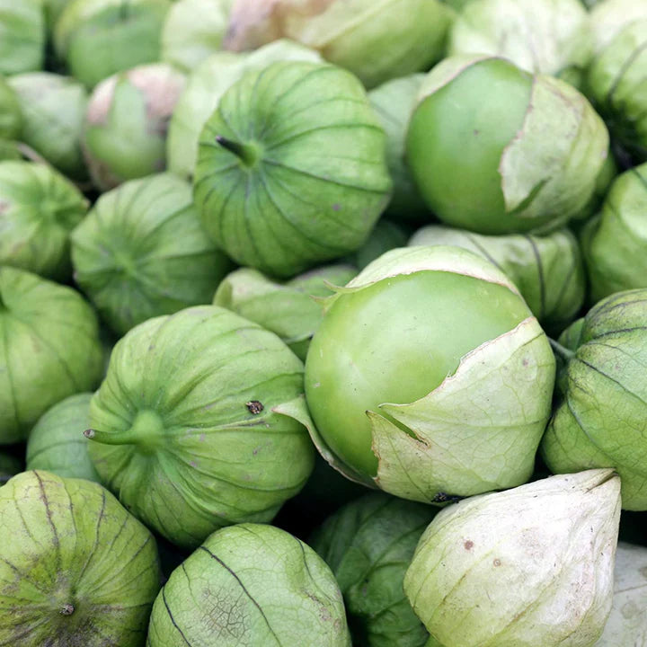 MIGardener Seeds Tomatillo Rio Grande Verde