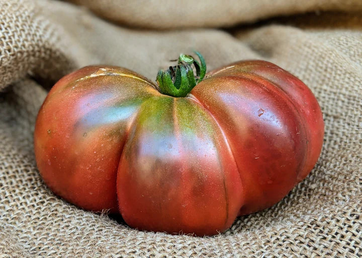 MIGardener Seeds Tomato Cherokee Purple