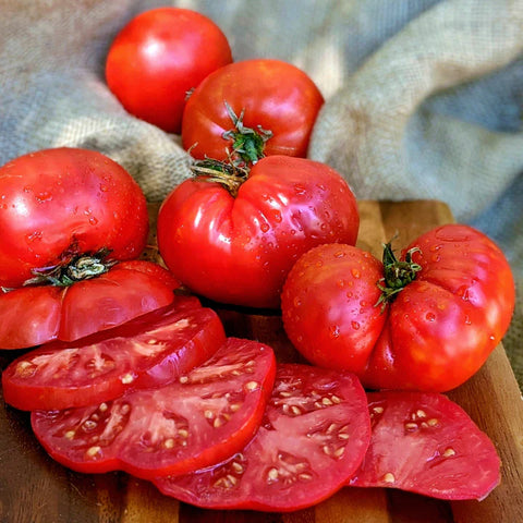 MIGardener Seeds Tomato Giant Crimson