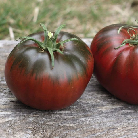 MIGardener Seeds Tomato Paul Robeson