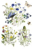IOD Decor Transfer Flora Greca 8"x12" 8-Pages Pad by Iron Orchid Designs