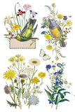 IOD Decor Transfer Flora Greca 8"x12" 8-Pages Pad by Iron Orchid Designs