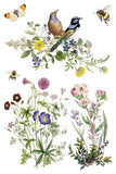 IOD Decor Transfer Flora Greca 8"x12" 8-Pages Pad by Iron Orchid Designs