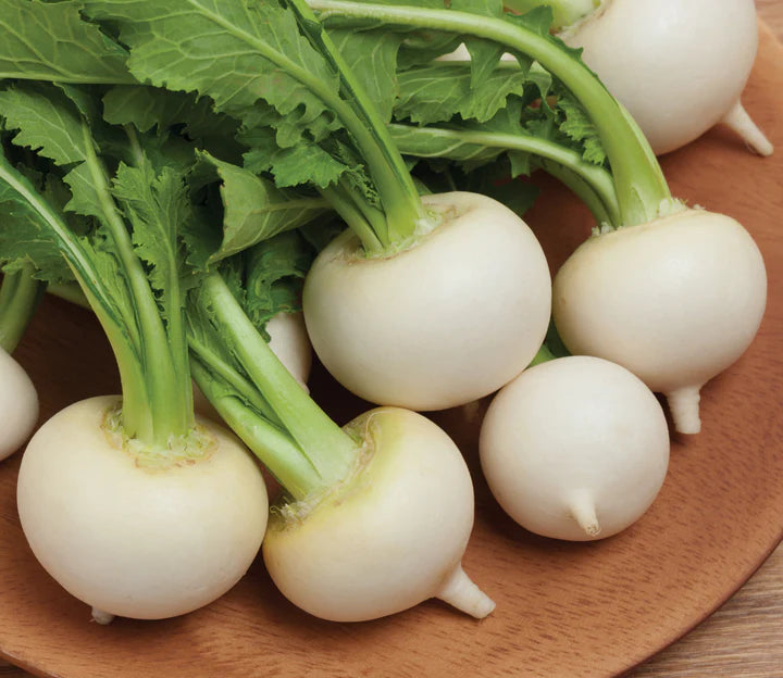 MIGardener Seeds Turnip White Egg
