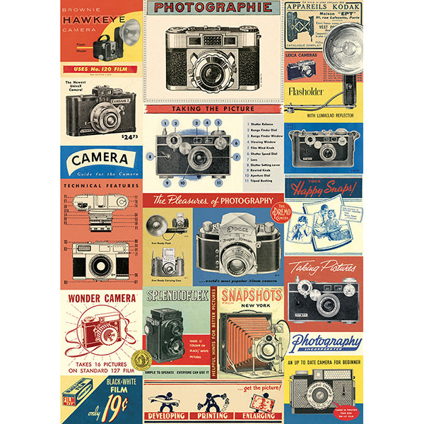 Cavallini Poster Vintage Cameras
