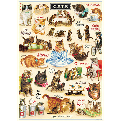 Cavallini Poster Vintage Cats2