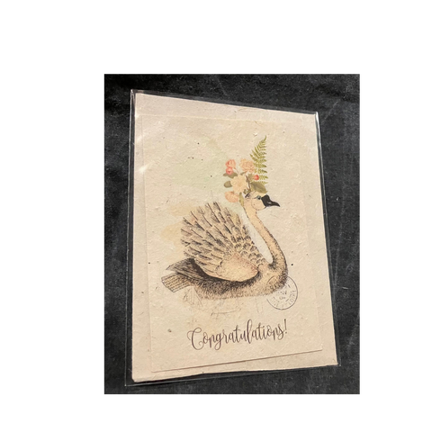 In the Land of Elsewhere Gift Card Congratulations Swan