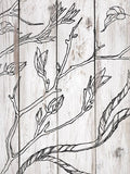 IOD Decor Stamp Branches and VInes 12" x 12”  by Iron Orchid Designs